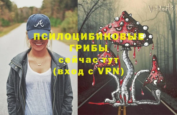 прущие крисы Корсаков