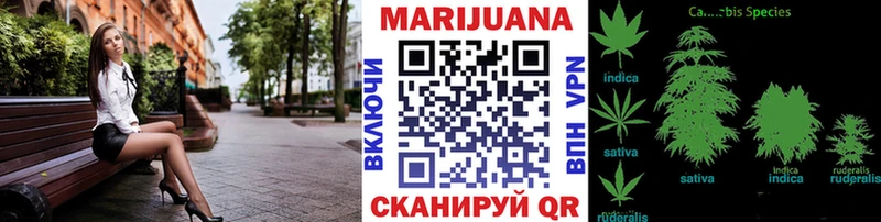 купить   Мамадыш  Канабис план 